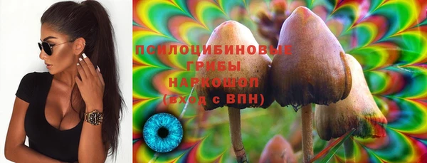 крисы Балахна