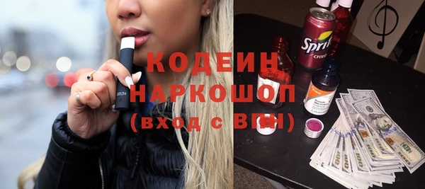 индика Балабаново