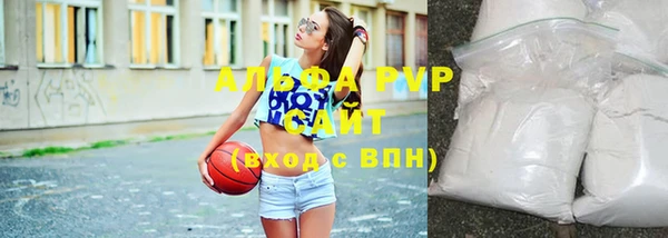 индика Балабаново