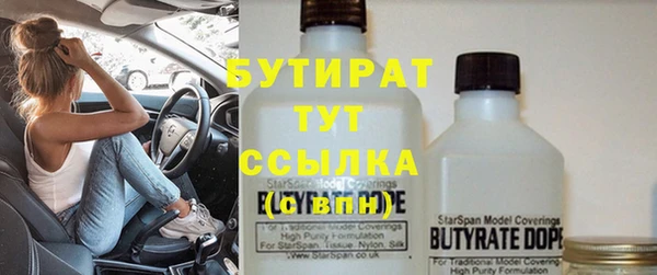 индика Балабаново
