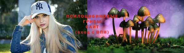 крисы Балахна