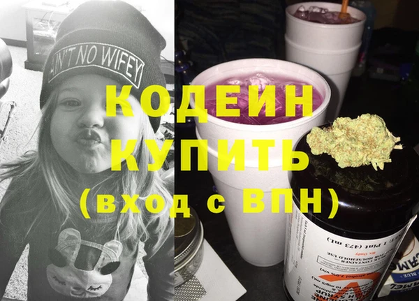 индика Балабаново