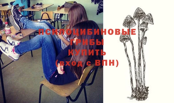 бошки Рославль
