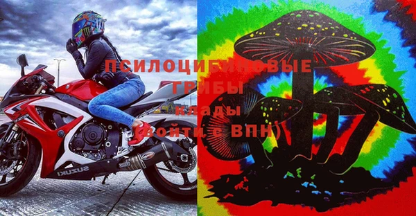 крисы Балахна
