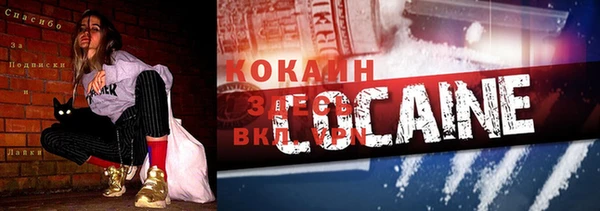 крисы Балахна