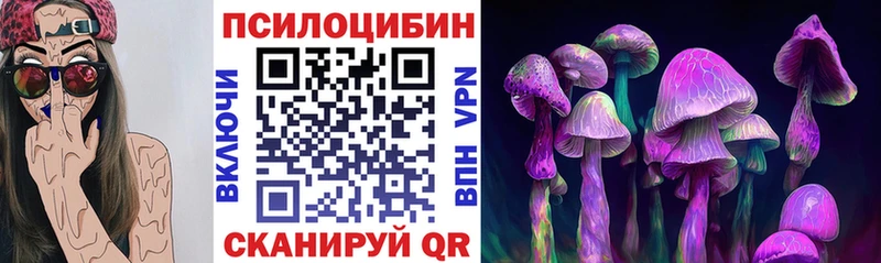OMG tor Нефтегорск Галлюциногенные грибы Cubensis